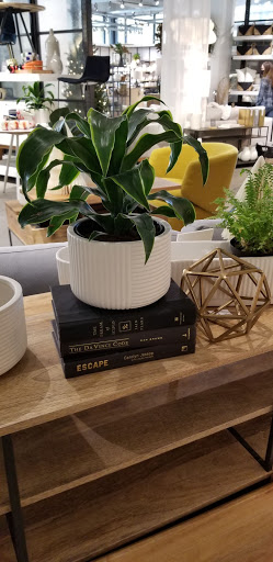 Furniture Store «west elm», reviews and photos, 12848 Queensbury Ln #152, Houston, TX 77024, USA