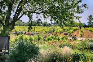 O'Vineyards Wine Tour. Winery Visits. image
