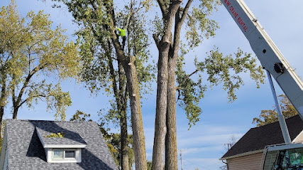 Shoup Tree Services