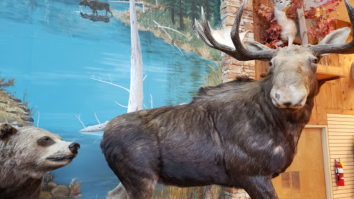 Hunting and Fishing Store «Woods & Water Inc», reviews and photos, 5101 Summit Ridge, Tuscaloosa, AL 35405, USA