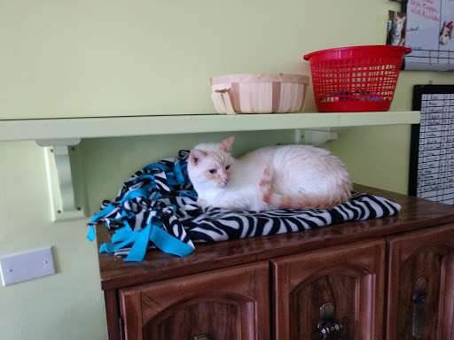 Shopping Mall «Bergen Village Shopping Center», reviews and photos, 1240 Bergen Pkwy, Evergreen, CO 80439, USA