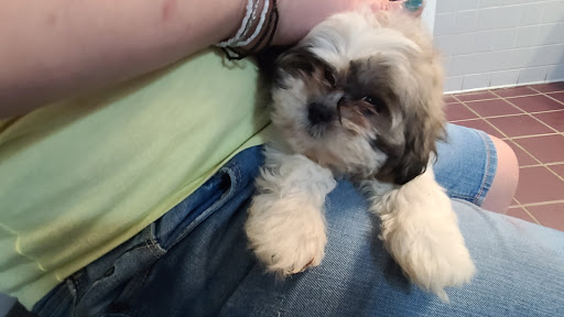 Pet Store «Pets Plus Inc», reviews and photos, 2610 Jefferson Davis Hwy, Stafford, VA 22554, USA