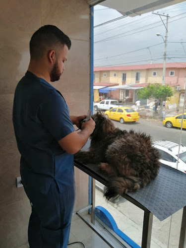 Opiniones de Punto Canino en Guayaquil - Veterinario