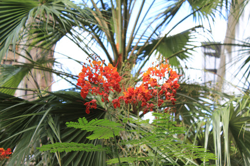 Park «Olmos Basin», reviews and photos, 651 Devine Rd, San Antonio, TX 78209, USA