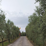 Photo n°2 de l'avis de Alexander.d fait le 19/07/2022 à 06:53 sur le  Poggio Degli Olivi à Monsummano Terme