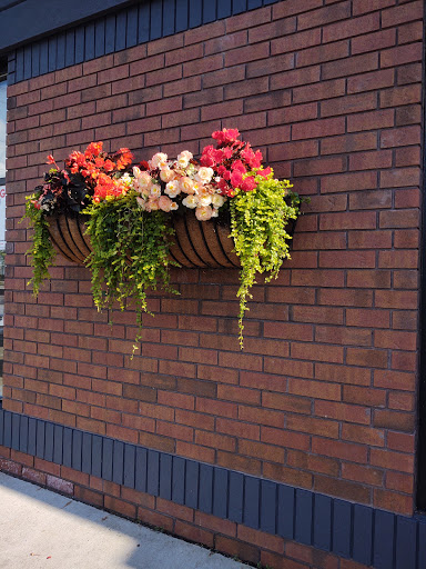 Coffee Shop «Tim Hortons», reviews and photos, 342 Buffalo St, Hamburg, NY 14075, USA