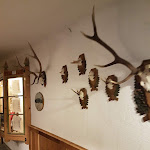 Photo n°13 de l'avis de Andrea.r fait le 05/11/2019 à 18:04 sur le  Berghotel à Sexten