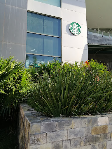 Starbucks Puerto Cancún