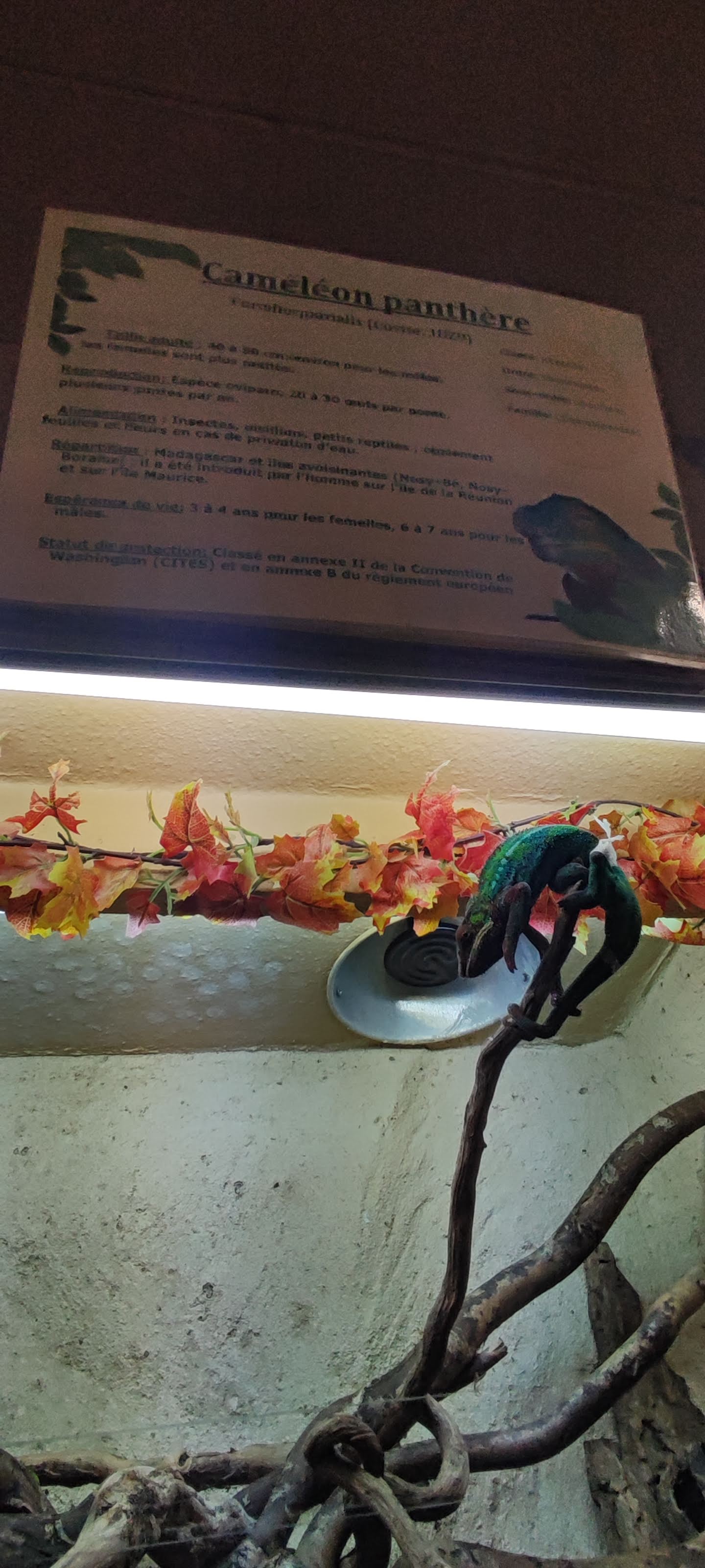 Photo n° 46 de l'avis de Yannick.o fait le 11/02/2023 à 16:29