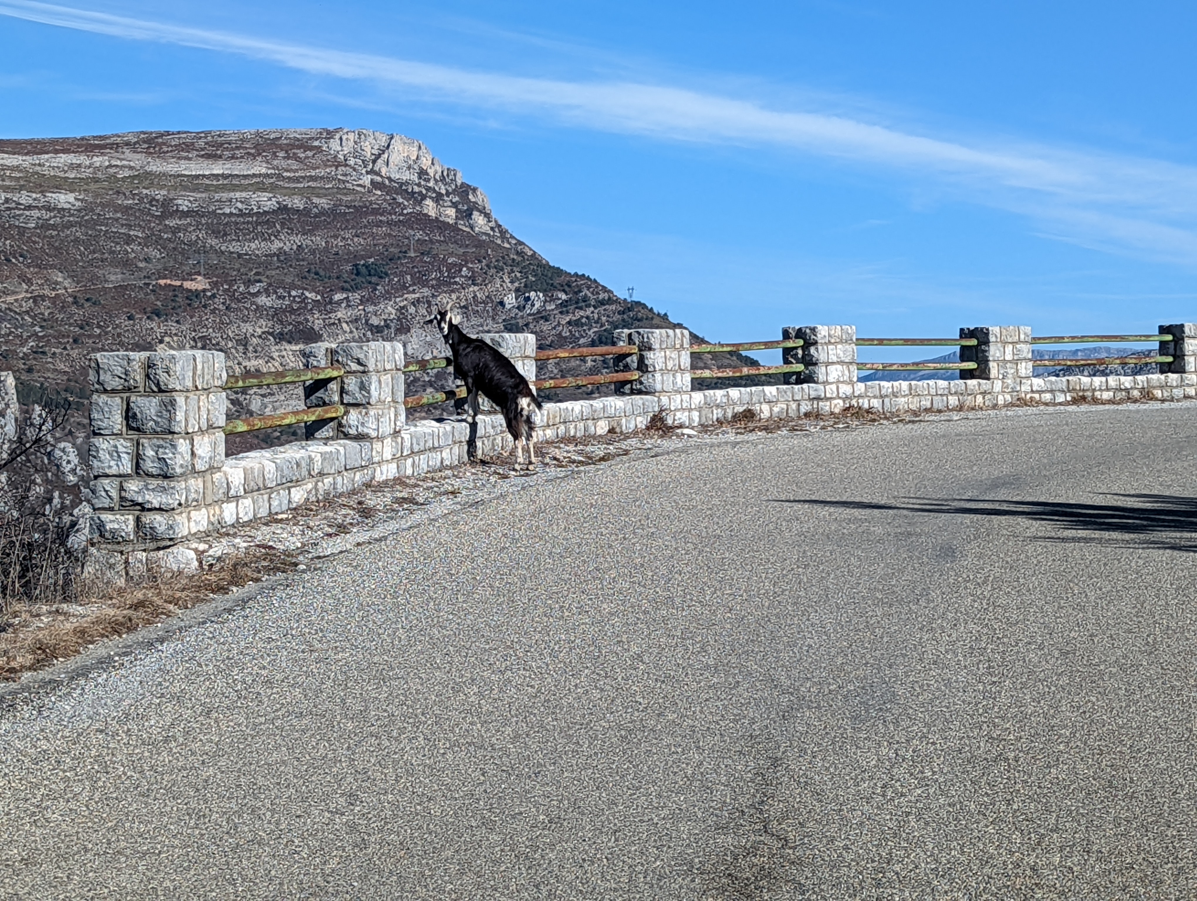 Photo n° 13 de l'avis de Henning.e fait le 05/02/2022 à 15:21