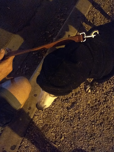 Pet Supply Store «Petco Animal Supplies», reviews and photos, 1835 E Guadalupe Rd #112, Tempe, AZ 85283, USA