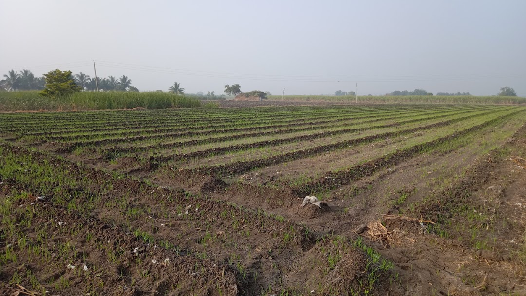 Pote Farm