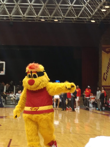 Civic Center «Canton Memorial Civic Center», reviews and photos, 1101 Market Ave N, Canton, OH 44702, USA