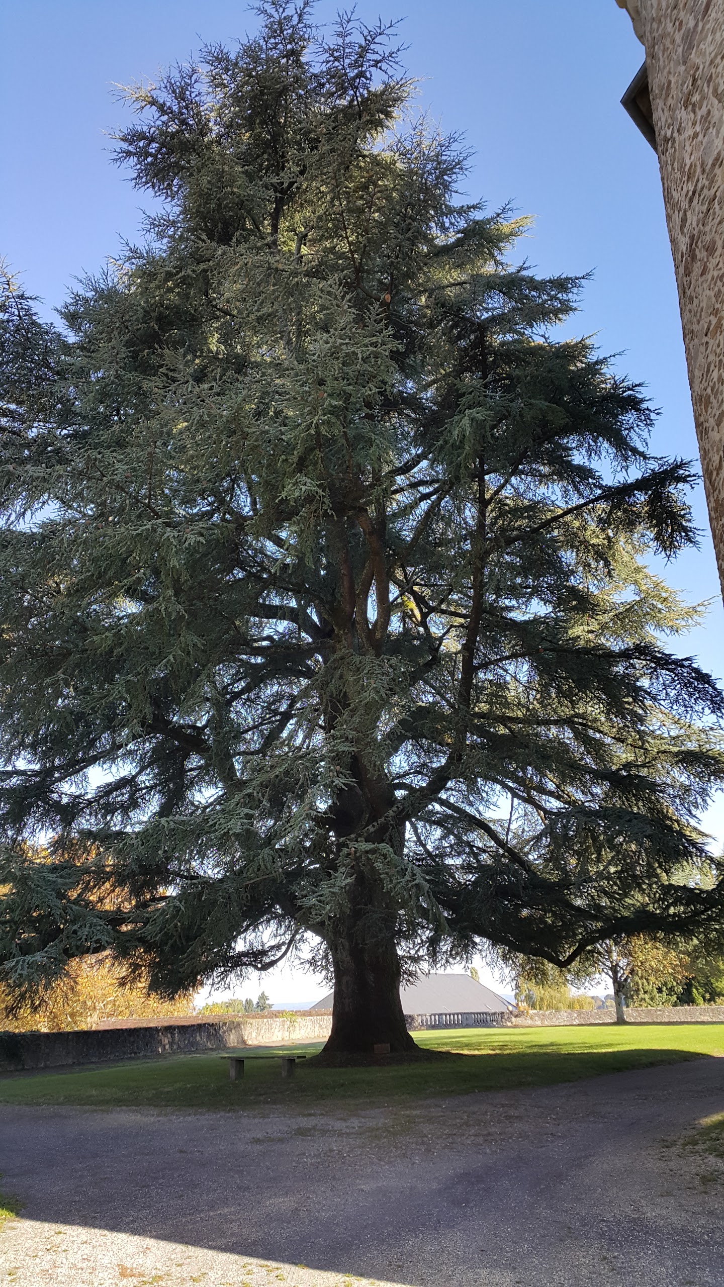Photo n° 29 de l'avis de Mariola.Y fait le 01/10/2017 à 06:44