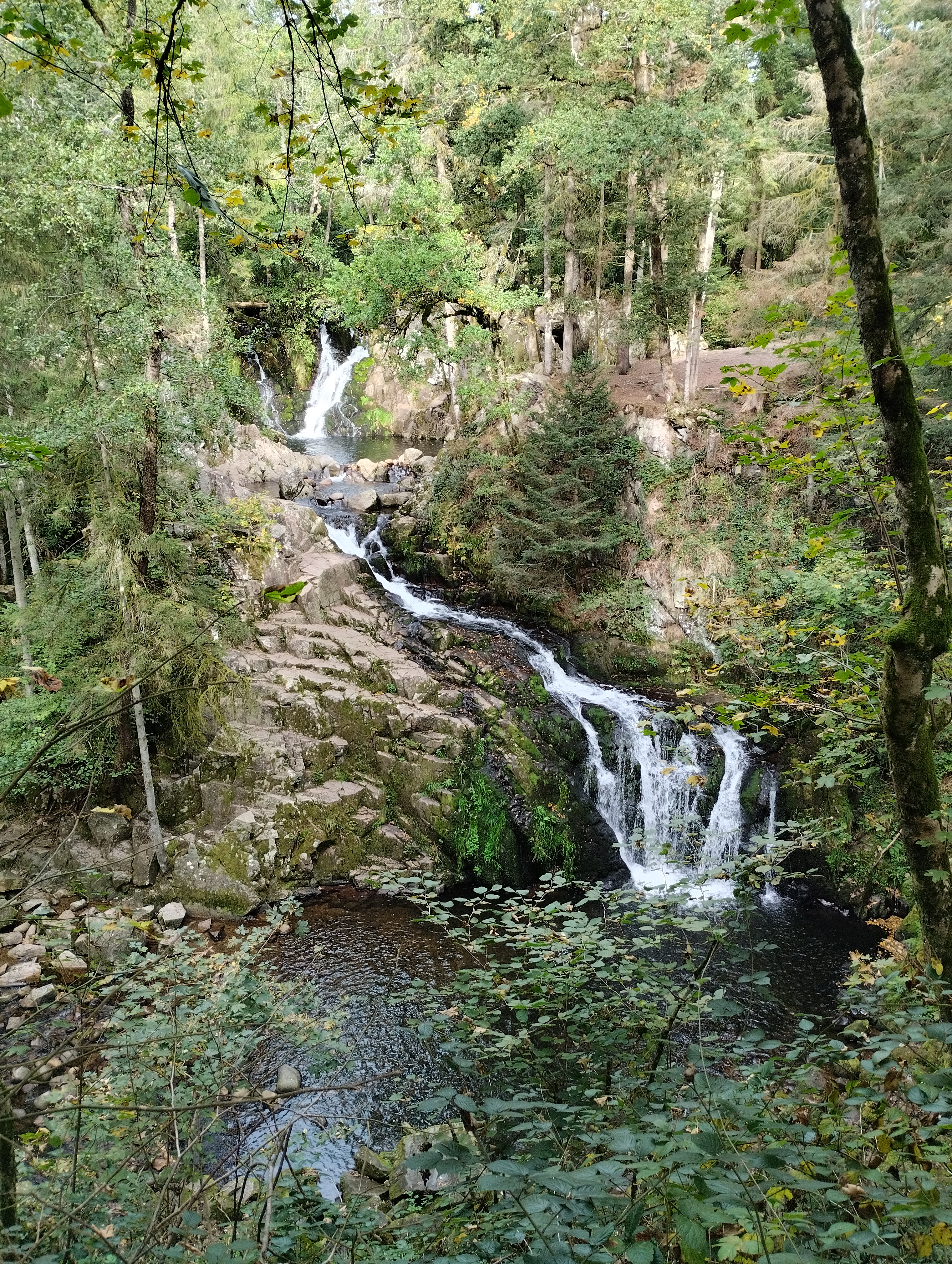 Photo n° 1 de l'avis de CORINNE.A fait le 13/10/2023 à 20:18