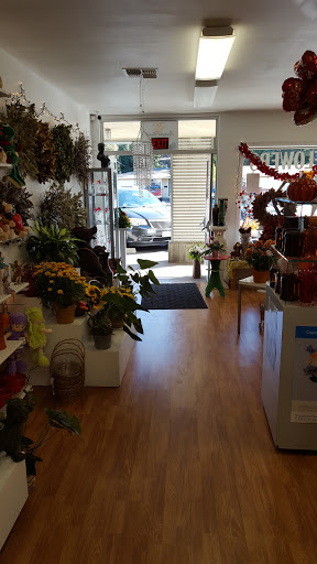 Florist «Bevess Floral», reviews and photos, 4221 Montgomery Dr, Santa Rosa, CA 95405, USA