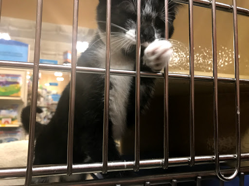 Pet Supply Store «PetSmart», reviews and photos, 9905 E Independence Blvd, Matthews, NC 28105, USA