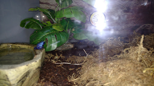 Pet Supply Store «Petco Animal Supplies», reviews and photos, 8735 Memorial Blvd, Port Arthur, TX 77640, USA