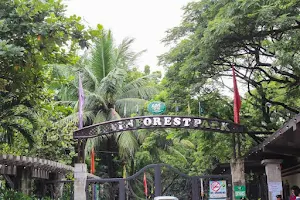 Pasig Rainforest Park image