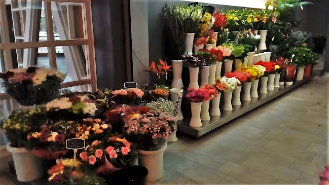 Florista Jardim das Amoreiras - Floricultura