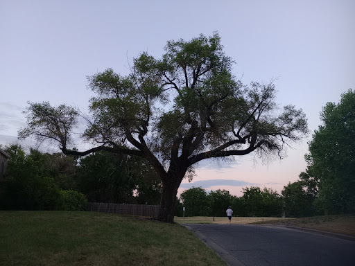 Golf Course «Arthur B. Sim Golf Course», reviews and photos, 2020 W Murdock St, Wichita, KS 67203, USA