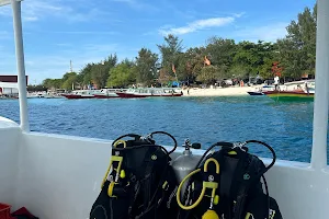 Indonesia Scuba Diver image