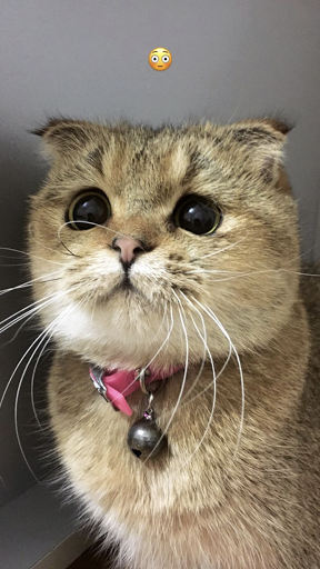 Ata Veteriner Kliniği