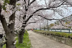 Yomogawa Ryokuchi Park image
