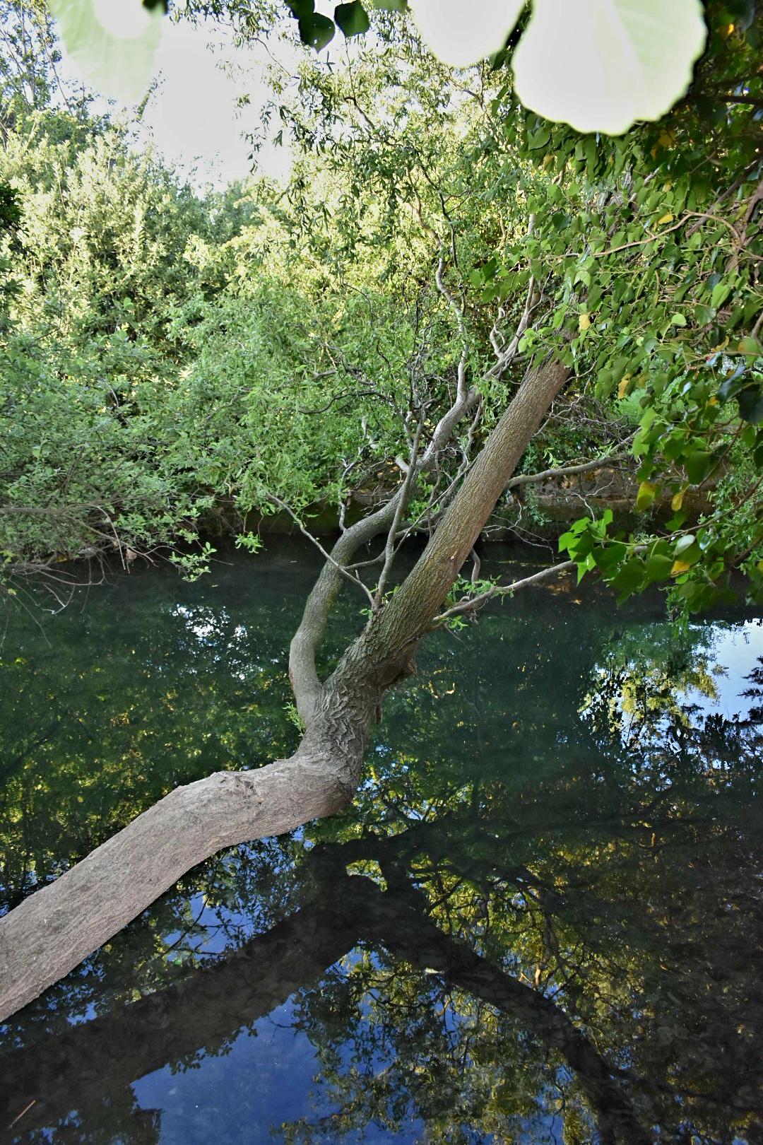Photo n° 19 de l'avis de Raphaël.r fait le 16/05/2023 à 15:27