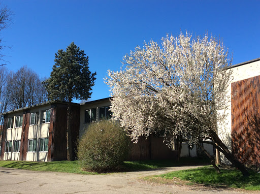 ICS Elsa Morante - Scuola Secondaria di Primo Grado 