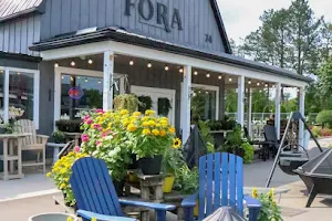 Fora Outdoor Living image
