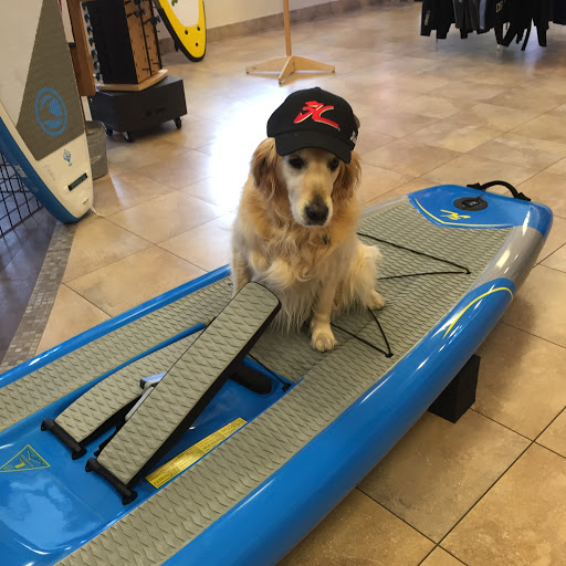 Sporting Goods Store «Adventure Sports», reviews and photos, 2750 SW 26th Ave, Miami, FL 33133, USA