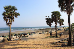 Mutyalammapalem Beach'in fotoğrafı vahşi alan