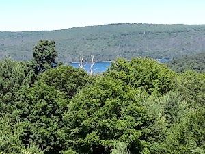 Enfield Overlook - photo 17