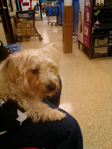 Pet Supply Store «PetSmart», reviews and photos, 9921 Pulaski Hwy, Baltimore, MD 21220, USA