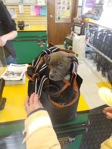 Pet Supply Store «Pet Supplies Plus», reviews and photos, 859 N Telegraph Rd, Monroe, MI 48162, USA