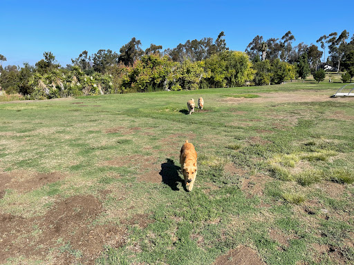 Pet Supply Store «HOWLISTIC», reviews and photos, 930 W Washington St #7, San Diego, CA 92103, USA