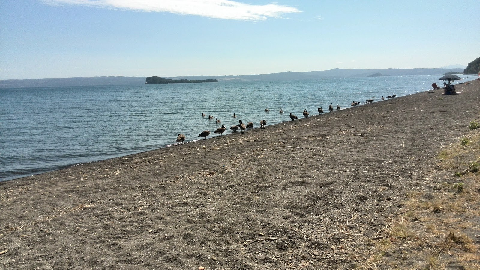 Spiaggia di Cavajano'in fotoğrafı vahşi alan