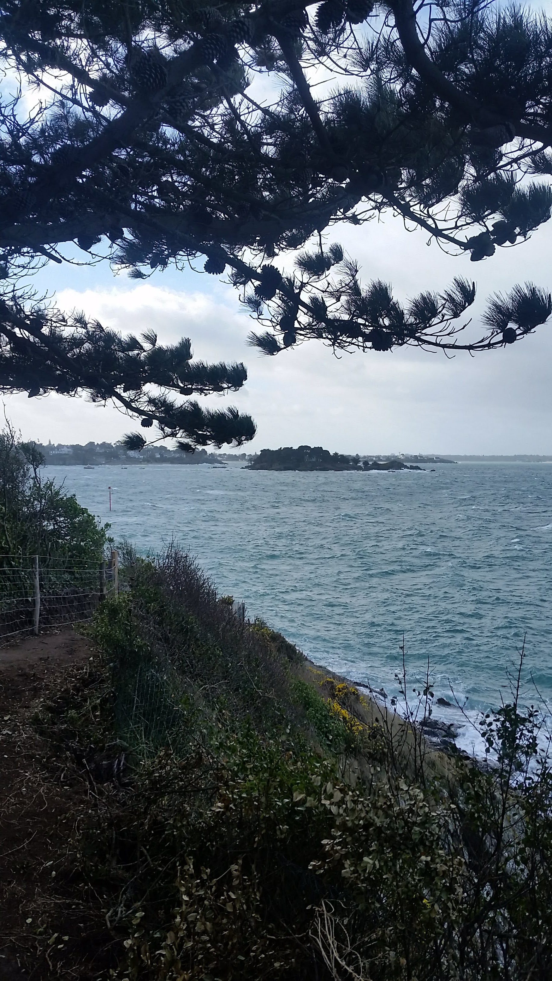 Photo n° 7 de l'avis de jean.r fait le 11/03/2019 à 08:32