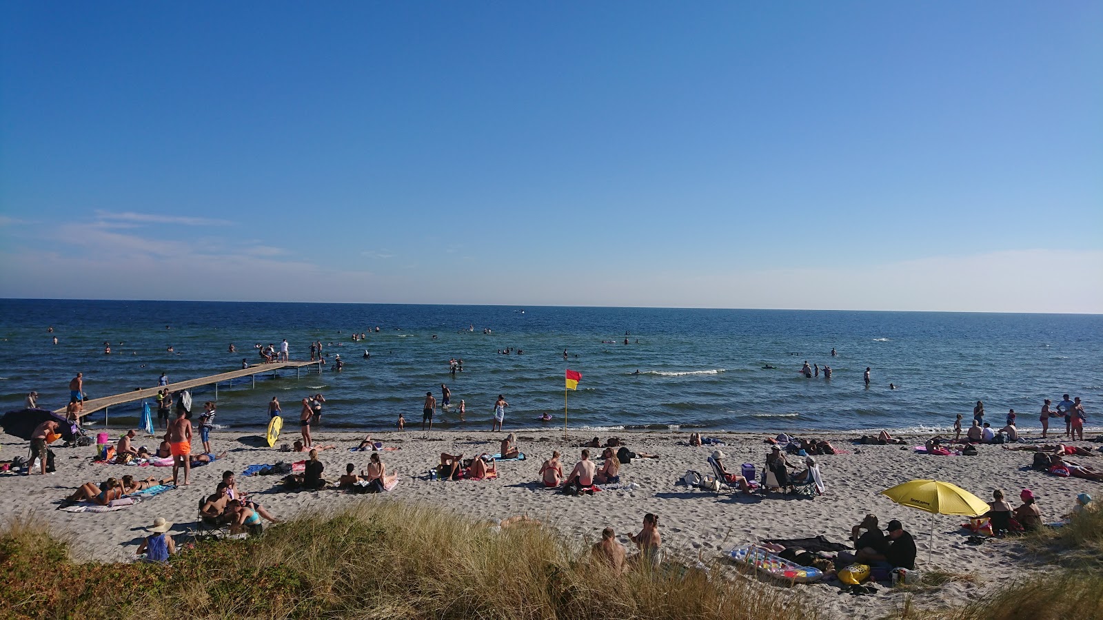 Brondby Beach'in fotoğrafı imkanlar alanı