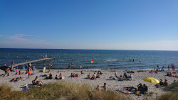 Brondby Beach'in fotoğrafı imkanlar alanı