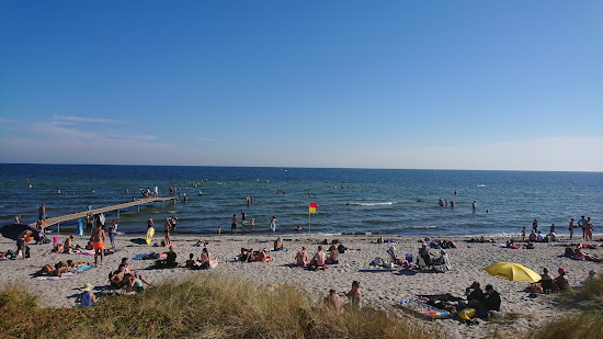 Brondby Beach