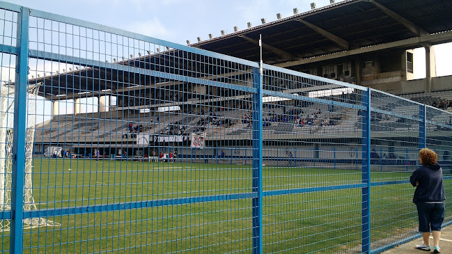 Comentários e avaliações sobre Estádio Alfredo Schürig