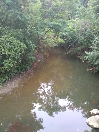 Community Center «Garfield Park Nature Center», reviews and photos, 11350 Broadway Ave, Garfield Heights, OH 44125, USA