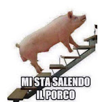 Photo n°1 de l'avis de rares.u fait le 11/06/2022 à 20:54 sur le  Bar Del Porto à Bolsena