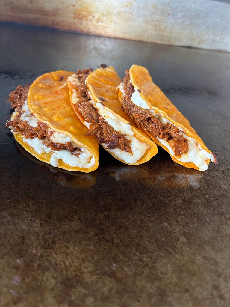 The Best Taco Food Truck 08861