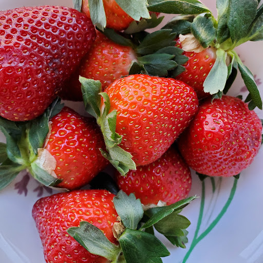 Grocery Store «Valentino Food Market», reviews and photos, 66-64 Fresh Pond Rd, Ridgewood, NY 11385, USA