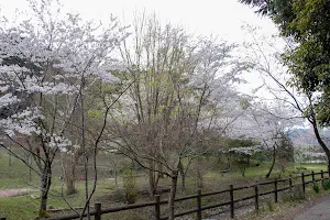 Fukurodani Water Park image