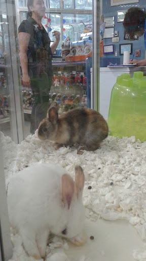 Pet Supply Store «Rumford Pet Center», reviews and photos, 865 Warren Ave, East Providence, RI 02914, USA