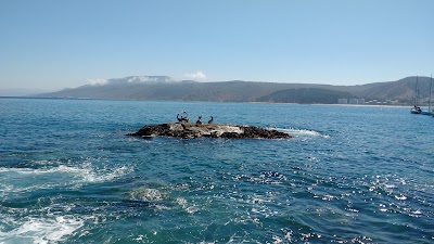 Photos of Municipality of Papudo